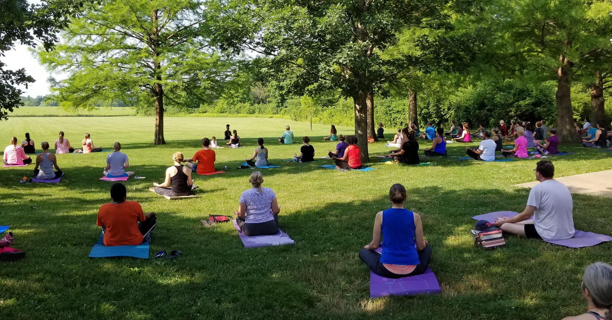 Free Yoga, Tai Chi and Zumba sessions this summer in Meadowbrook